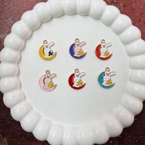 Enamel charms#109